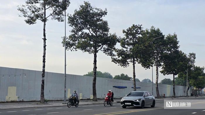 Tại khu vực phường Trấn Biên (Tp.Đồng Nai), trên trục đường Võ Thị Sáu – tuyến giao thông huyết mạch của đô thị Biên Hòa cũ, dự án Diamond Central do Công ty Cổ phần Gotec Land làm chủ đầu tư, Công ty TNHH Gotec Việt Nam phát triển từng được kỳ vọng trở thành điểm nhấn mới của khu vực trung tâm. Tuy nhiên, sau thời gian triển khai, dự án vẫn chưa phát huy được kỳ vọng ban đầu, nhiều hạng mục và không gian xung quanh chưa tạo nên diện mạo của một khu đô thị hiện đại, đồng bộ.