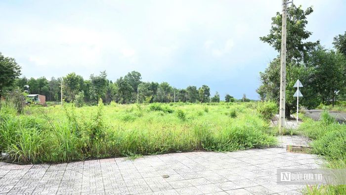 Dự án Tân Phước Center do Công ty TNHH Sông Tiền Land làm chủ đầu tư. Theo kế hoạch, dự án triển khai xây dựng hạ tầng từ quý III/2019 và đưa vào kinh doanh từ quý III/2020. Tuy nhiên, sau nhiều năm, dù một số tuyến đường nội khu đã được hoàn thiện, khu dân cư vẫn rơi vào cảnh vắng vẻ, chưa hình thành cộng đồng cư dân. Nhiều lô đất chưa được xây dựng, cỏ dại bao phủ, thậm chí một số khu vực được tận dụng làm nơi chăn thả gia súc, tạo nên hình ảnh trái ngược với kỳ vọng về một khu dân cư hiện đại, đồng bộ.
