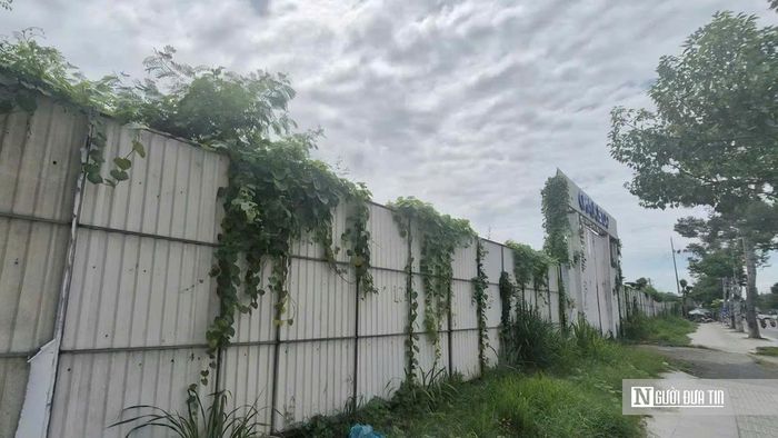 Theo giới thiệu từ chủ đầu tư, dự án Diamond Central có quy mô khoảng 12.500m², gồm hai khu A và B với 87 căn nhà phố cao 5 tầng. Các sản phẩm có diện tích từ 100–130m², tổng diện tích sàn mỗi căn lên đến khoảng 570m². Tuy nhiên, sau khi được giới thiệu ra thị trường vào tháng 8/2020, dự án đến nay vẫn chưa ghi nhận nhiều chuyển biến rõ rệt, nhiều hạng mục chưa hoàn thiện, tiến độ triển khai chưa như kỳ vọng ban đầu.