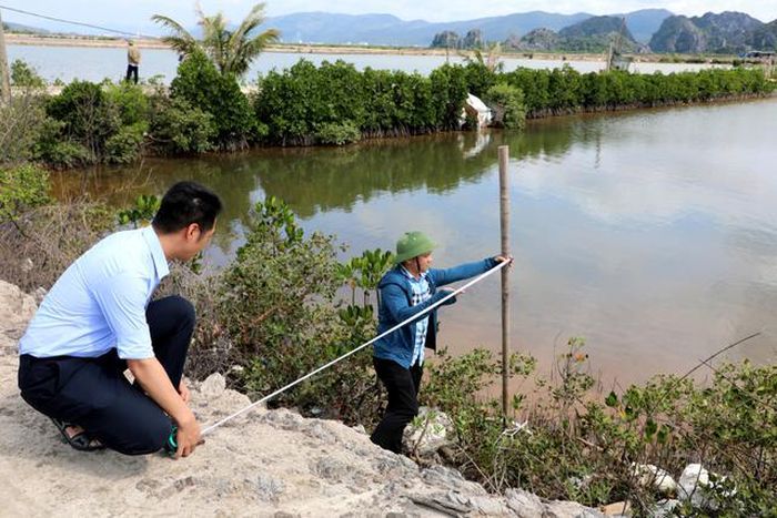 Trung tâm cung ứng dịch vụ phường Hà An thực hiện kiểm đếm đền bù dự án tuyến đường sắt tốc độ cao Hà Nội - Quảng Ninh (Nguồn: Cổng thông tin điện tử tỉnh Quảng Ninh)