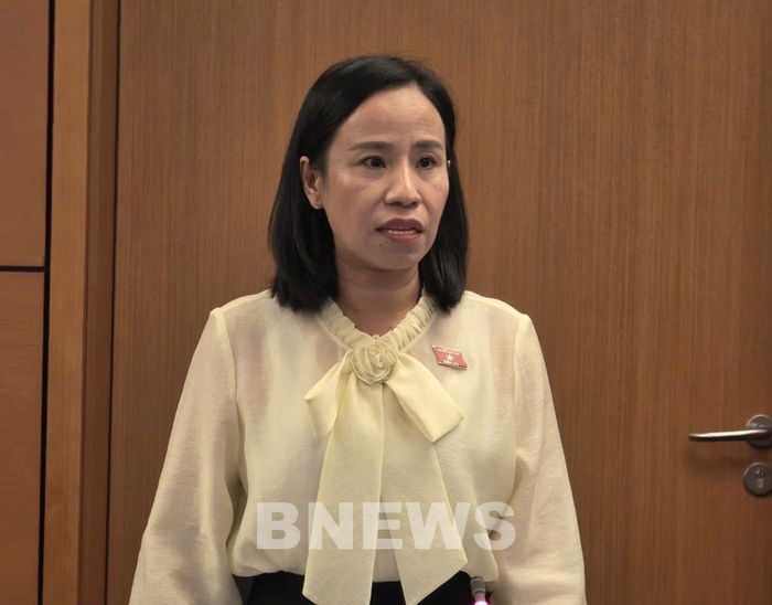 Đại biểu quốc hội Võ Ngọc Thanh Trúc (Đoàn TP. Hồ Chí Minh). Ảnh: Bích Hồng/Bnews/vnanet.vn