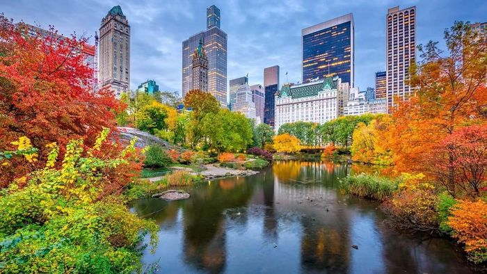 Mùa thu biến Central Park thành một bức tranh đầy màu sắc với sắc đỏ, cam, vàng của lá cây. Ảnh: PIXABAY