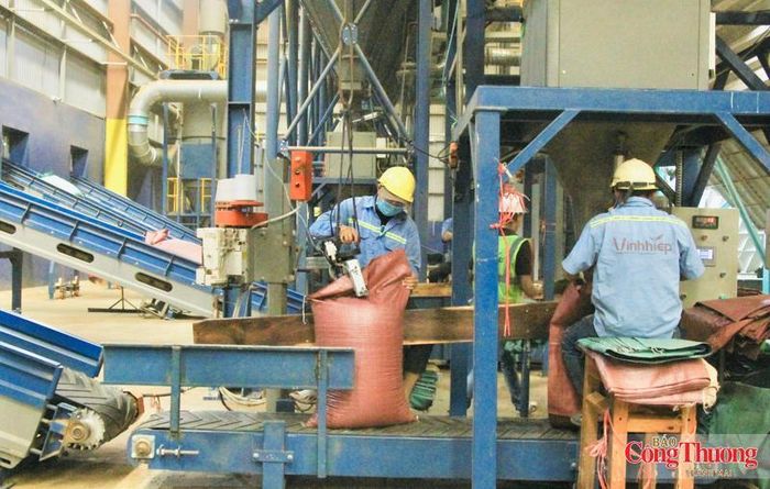 Không chỉ hướng tới mở rộng thị trường, các doanh nghiệp còn tập trung xây dựng chuỗi giá trị khép kín từ vùng nguyên liệu, thu mua, chế biến đến xuất khẩu nhằm nâng cao giá trị hạt cà phê Gia Lai trên thị trường quốc tế.