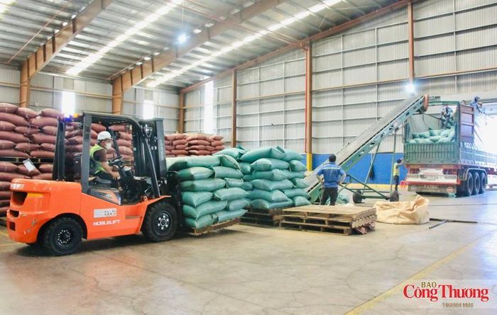 Cà phê tiếp tục khẳng định vị thế là ngành hàng xuất khẩu chủ lực của Gia Lai.