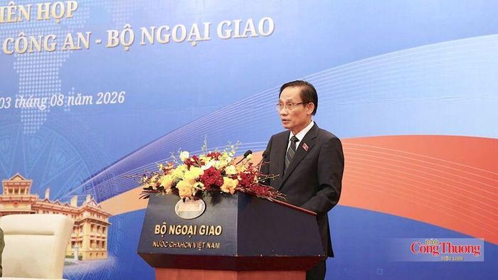 Bộ trưởng Bộ Ngoại giao Lê Hoài Trung phát biểu tại phiên họp.