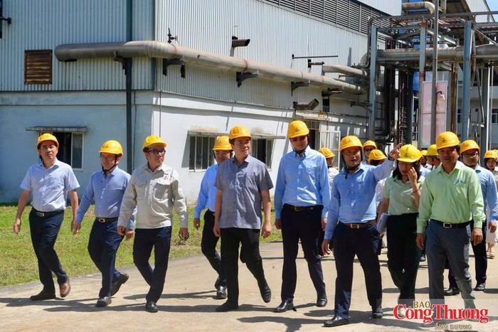 Thứ trưởng Nguyễn SInh Nhật Tân không chỉ ghi nhận mà còn biểu dương nỗ lực của các doanh nghiệp sản xuất nhiên liệu sinh học trong việc duy trì hoạt động, từng bước khôi phục và nâng cao công suất, gia tăng sản lượng, mở rộng thị phần E100 trong nước.
