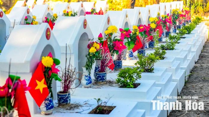 Nghĩa trang Liệt sĩ Hàm Rồng hiện là nơi yên nghỉ của gần 2.000 liệt sĩ đã anh dũng hy sinh trong các cuộc kháng chiến bảo vệ Tổ quốc. Trong số đó, hơn 1.000 phần mộ vẫn chưa xác định được đầy đủ thông tin.