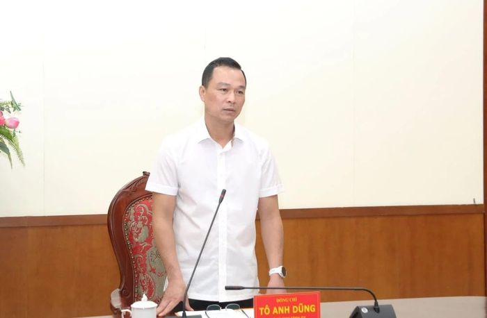 Chủ tịch UBND tỉnh Tô Anh Dũng phát biểu chỉ đạo tại buổi làm việc.