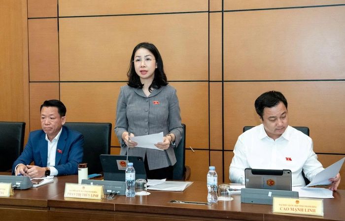 Đại biểu Quốc hội Phan Thị Thùy Linh.