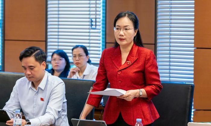 Đại biểu Đỗ Thị Việt Hà phát biểu ý kiến.