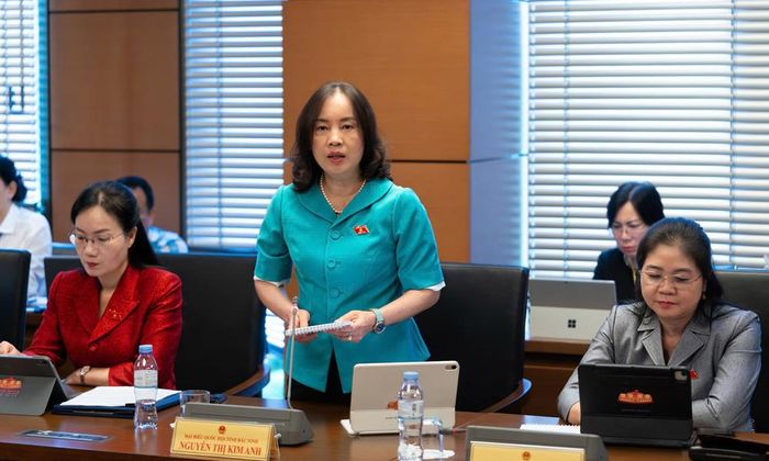 Đại biểu Nguyễn Thị Kim Anh phát biểu ý kiến.