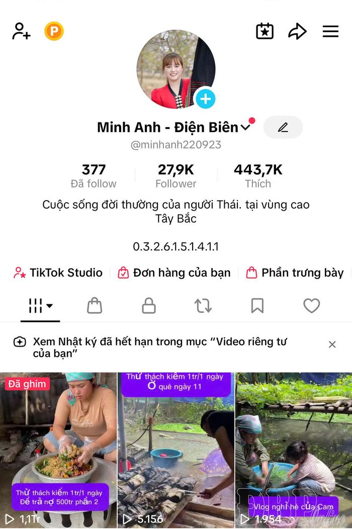 Kênh tiktok của Lò Minh Anh.