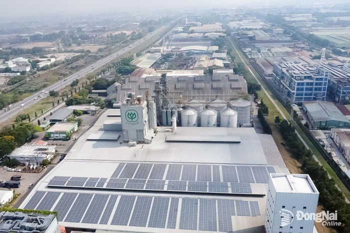 Tập đoàn C.P. Việt Nam ứng dụng điện mặt trời áp mái phục vụ mục tiêu tiết kiệm năng lượng và giảm phát thải ròng. Ảnh: Vương Thế