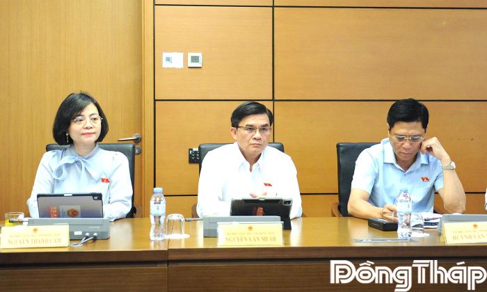 ĐBQH tỉnh Đồng Tháp tham gia phiên thảo luận tại tổ.