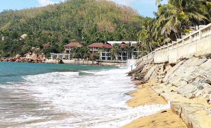 Cửa xả ven biển Ghềnh Ráng (phường Quy Nhơn Nam) thường xuyên xuất hiện dòng nước màu xám đen, phát sinh mùi hôi khó chịu. Ảnh: V.L