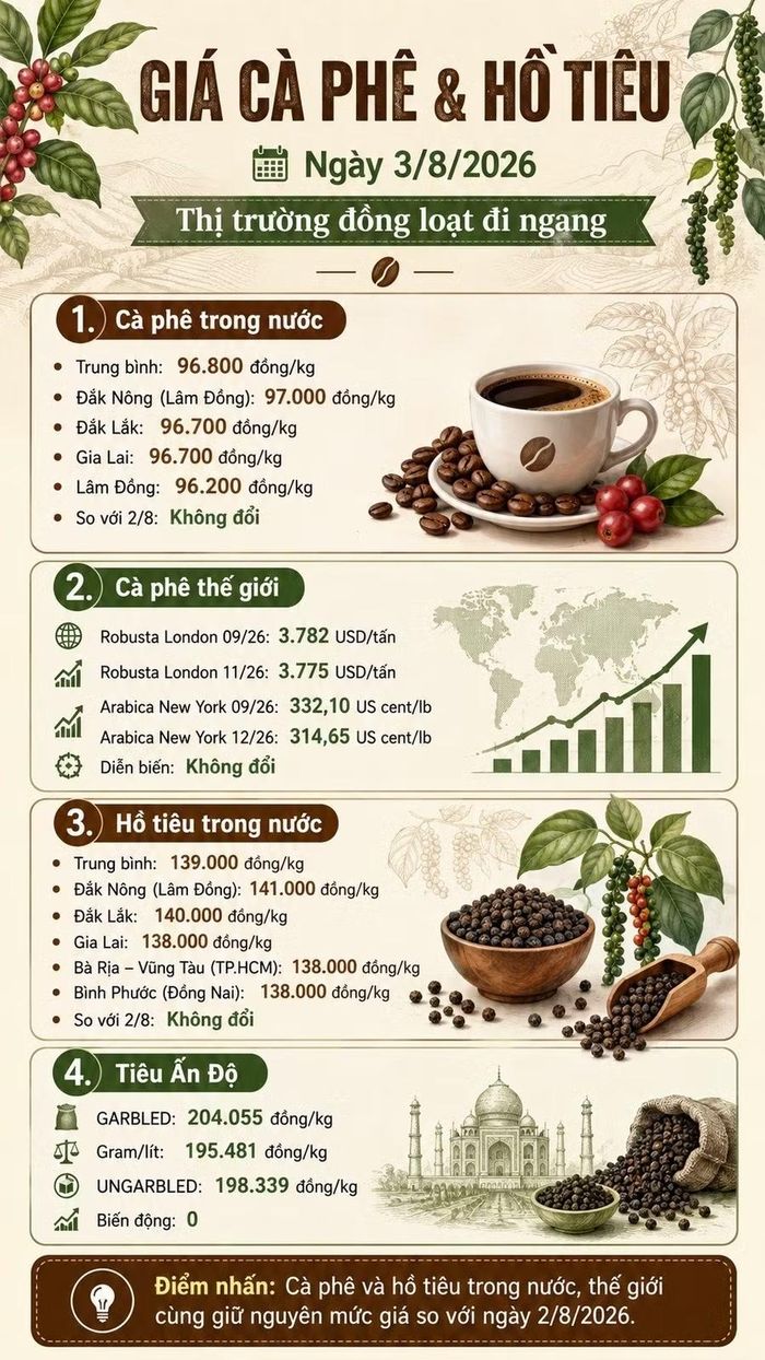 Infographic (AI)