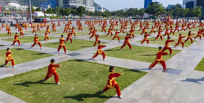 Hàng trăm võ sinh đến từ tỉnh Gia Lai và nhiều tỉnh, thành trong cả nước đồng diễn võ cổ truyền tại Quảng trường Nguyễn Tất Thành vào sáng 3-8. Ảnh: Dũng Nhân