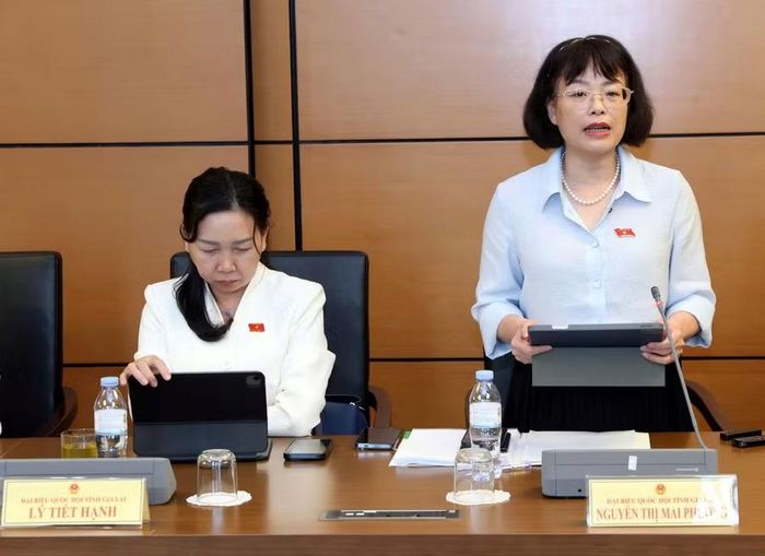  ĐB Nguyễn Thị Mai Phương đề nghị Ban soạn thảo rà soát, bổ sung quy định về trách nhiệm bồi thường của Nhà nước trong trường hợp cơ quan hải quan áp dụng biện pháp tạm dừng không đúng. Ảnh: Đoàn ĐBQH tỉnh Gia Lai 