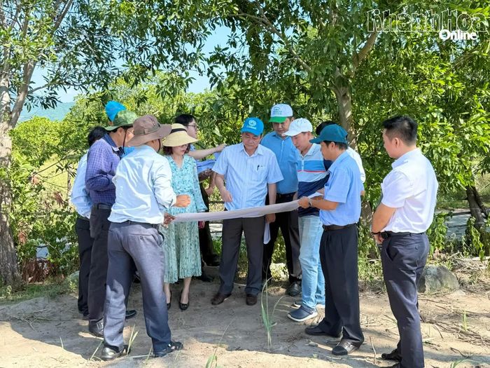 Đồng chí Lữ Thanh Hải khảo sát vị trí thực hiện Dự án Nhà máy Điện gió EEC Khánh Hòa.