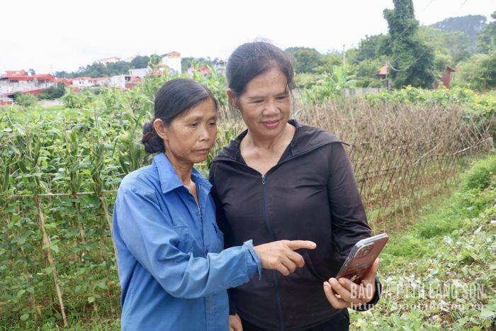 Hội viên nông dân khối 18, phường Đông Kinh tìm hiểu thông tin trên Nền tảng số Nông dân Việt Nam
