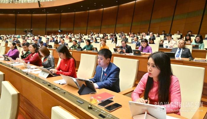 Các đại biểu Quốc hội tỉnh dự khai mạc kỳ họp không thường lệ thứ nhất, Quốc hội khóa XVI