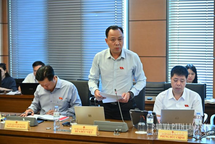 Đại biểu Hứa Đức Việt, Đoàn đại biểu Quốc hội tỉnh phát biểu thảo luận tại tổ