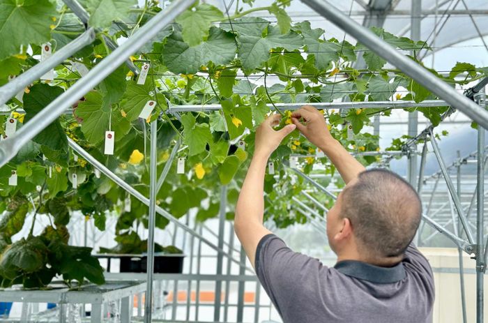 Khoa học, công nghệ và đổi mới sáng tạo làm thay đổi tư duy trong nhiều lĩnh vực
