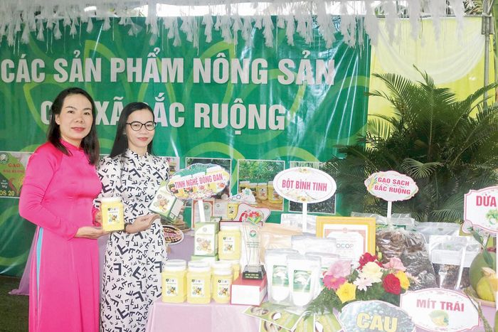 Bột tinh nghệ, bột bình tinh Đông Đan - sản phẩm OCOP của xã Bắc Ruộng