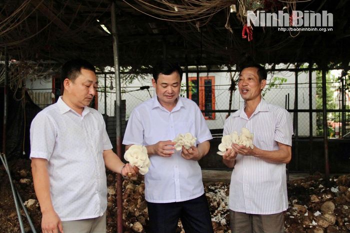 Mô hình trồng nấm của ông Mai Trường Quần (ngoài cùng bên phải).