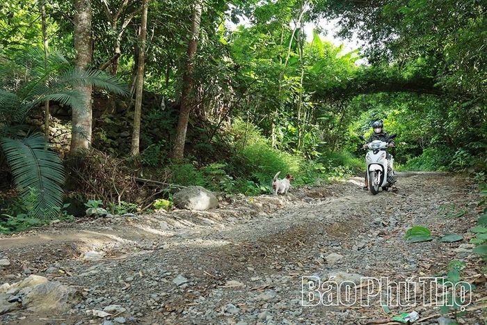 Tuyến đường giao thông liên thôn Bình Thanh đi thôn Tráng xuống cấp, gây khó khăn cho các phương tiện lưu thông.