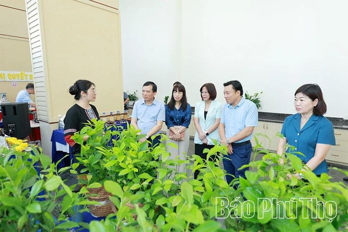 Các đại biểu tham quan các gian trưng bày thành tựu nổi bật trong thực hiện Nghị quyết số 57-NQ/TW.