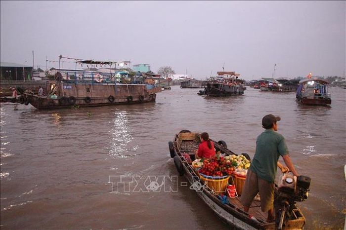 Chợ nổi Cái Răng, điểm nhấn của du lịch Cần Thơ. Ảnh: Nguyễn Hằng/TTXVN