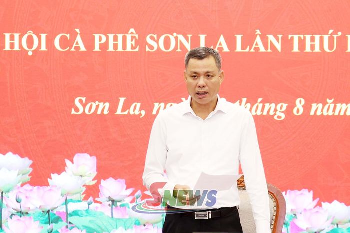 Đồng chí Phó Chủ tịch UBND tỉnh phát biểu tại cuộc họp.