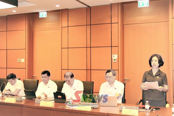 Đại biểu Hoàng Ngân Hoàn phát biểu thảo luận tại tổ.