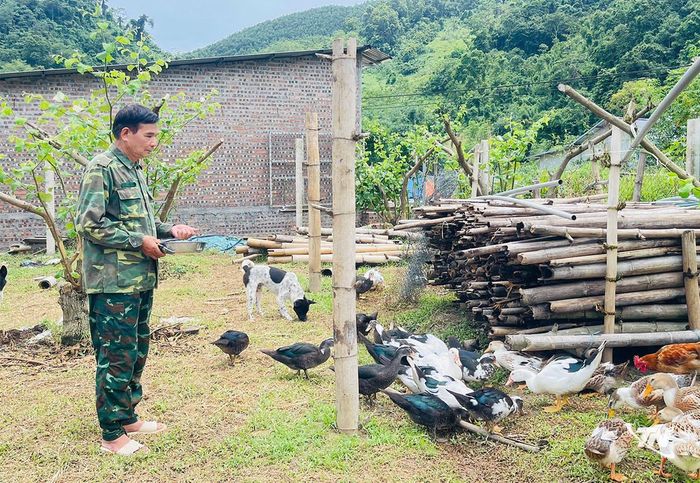 Trồng cây ăn quả kết hợp chăn nuôi giúp gia đình ông Cương tăng thu nhập.