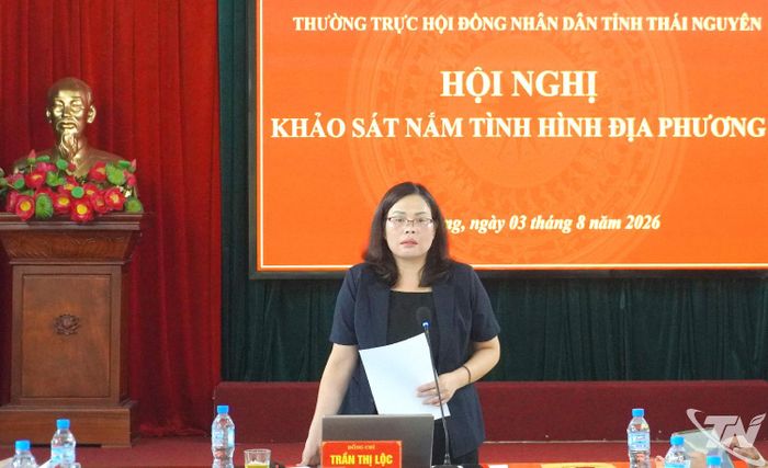 Đồng chí Phó Chủ tịch HĐND tỉnh Trần Thị Lộc phát biểu kết luận buổi khảo sát.