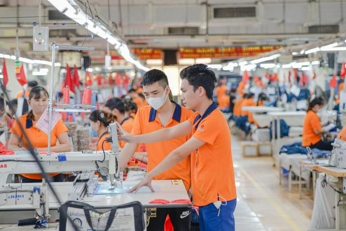 Việt Nam nhập siêu 20,52 tỷ USD hàng hóa trong 7 tháng đầu năm. Ảnh minh họa