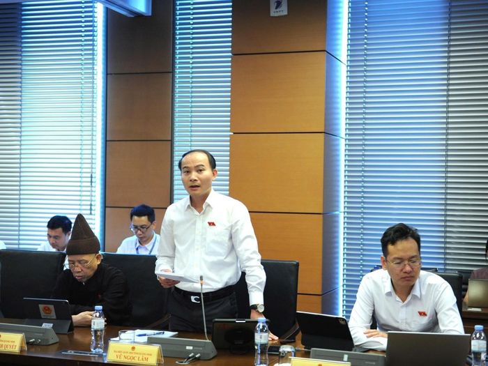 Đại biểu Vũ Ngọc Lâm (đoàn Quảng Ninh) phát biểu. Ảnh: Quochoi.vn