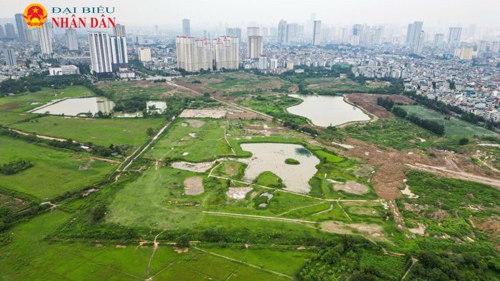Tuy nhiên, sau gần ba thập kỷ bỏ hoang, cỏ mọc um tùm, đến nay dự án đang có những chuyển biến tích cực. Theo quy hoạch, dự án công viên văn hóa - vui chơi giải trí - thể thao Hà Đông nằm trên địa bàn các phường Hà Đông và Kiến Hưng