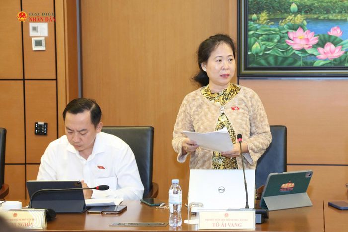 ĐBQH Tô Ái Vang (Cần Thơ) phát biểu