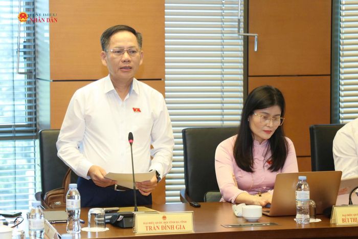 ĐBQH Trần Đình Gia (Hà Tĩnh) phát biểu