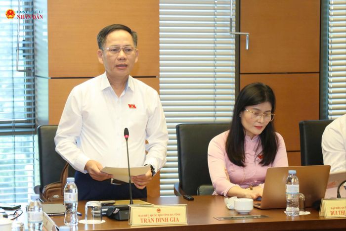 ĐBQH Trần Đình Gia (Hà Tĩnh) phát biểu