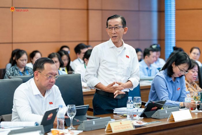 ĐBQH Trần Hoàng Ngân phát biểu