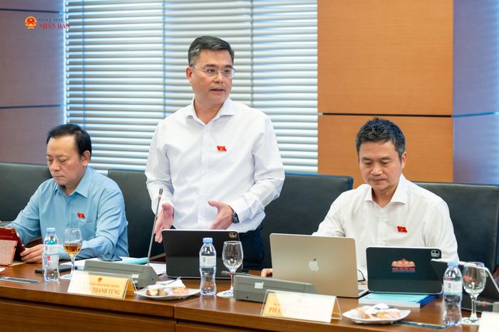 ĐBQH Nguyễn Thanh Tùng phát biểu