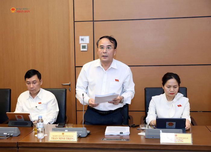 ĐBQH Trần Minh Trọng (Gia Lai) phát biểu