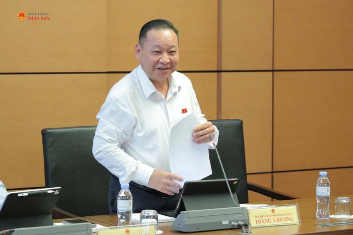 ĐBQH Tráng A Dương (Lào Cai) phát biểu. Ảnh: Hồ Long