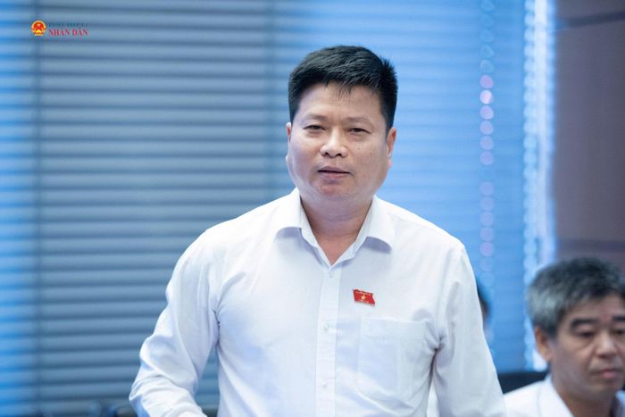 ĐBQH Trương Hồ Hải (An Giang) phát biểu