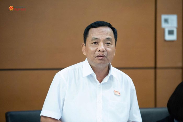 ĐBQH Nguyễn Ngọc Hà (Quảng Trị) phát biểu