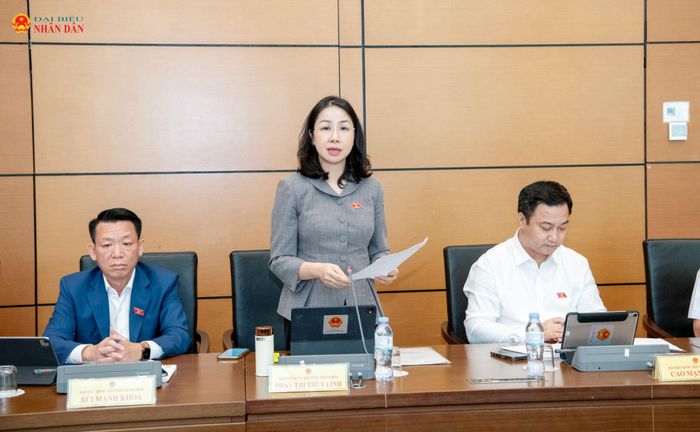 ĐBQH Phan Thị Thùy Linh (Thanh Hóa) phát biểu