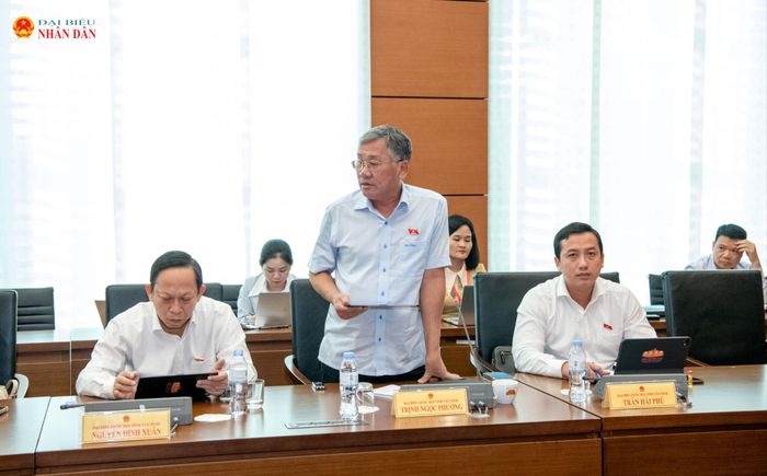 ĐBQH Trịnh Ngọc Phương (Tây Ninh) phát biểu